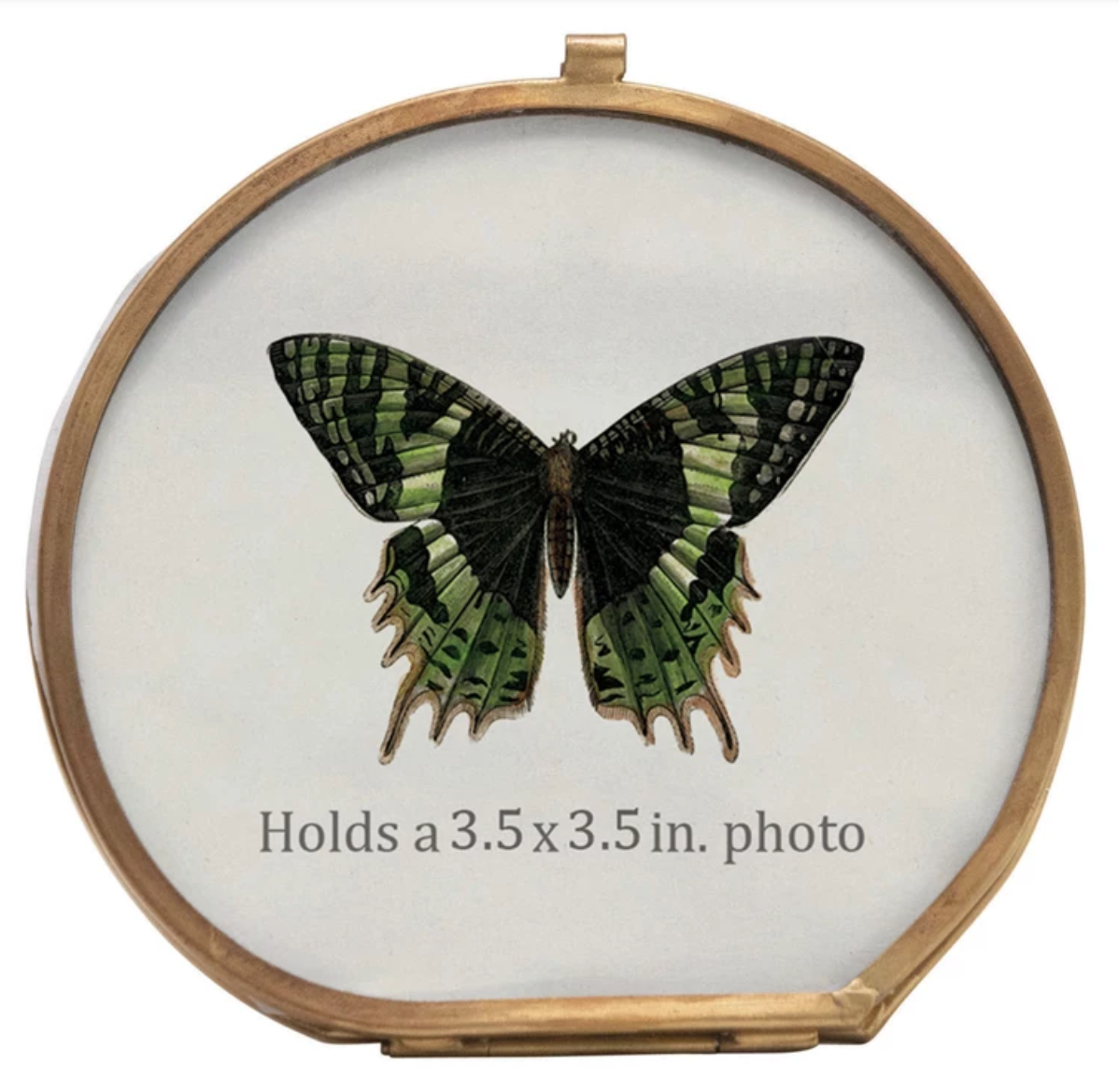6" Round Brass Frame