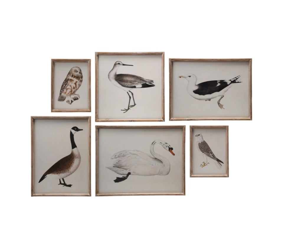 Distressed Bird Frames