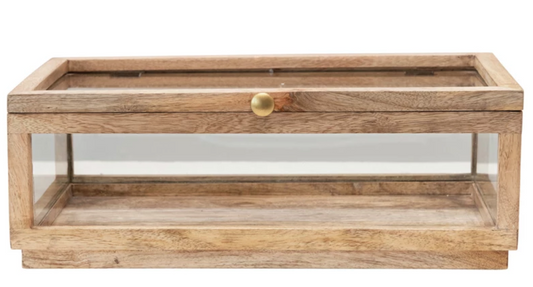 15" Mango Wood Display Box