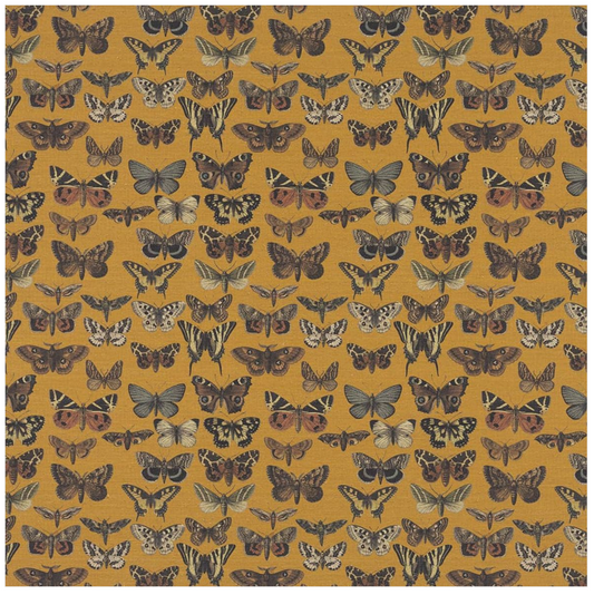 Porto Ottoman - Butterflies