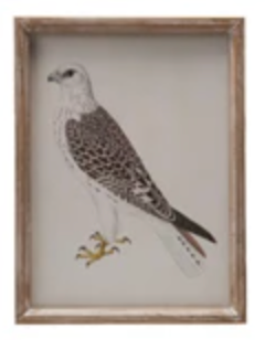 Wood Framed - Hawk 12 x 16"