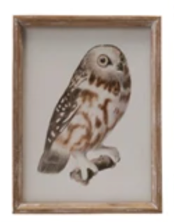 Wood Framed Owl - 12 x 16"