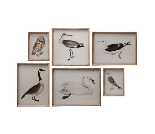 Distressed Bird Frames