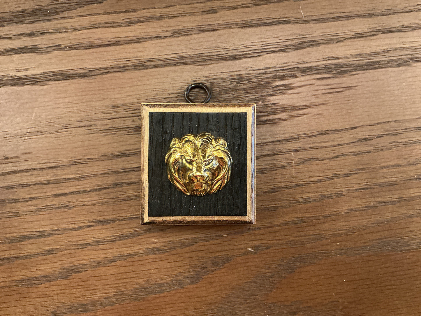 House Emblem Lion